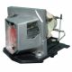 SP.8LB04GC01 Projector Lamp for OPTOMA TW865-3D