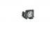base_image_label-102447-65030
