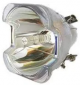 ZU0295 04 4010 Projector Lamp for LIESEGANG LUXOR PLUS