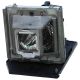 PANASONIC PT-AE8000E Original Inside Projector Lamp - Replaces ET-LAA410