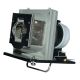 OPTOMA THEMESCENE HD73 Original Inside Projector Lamp - Replaces BL-FU220A / SP.83F01G.001