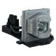 OPTOMA THEMESCENE HD71 Projector Lamp