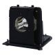 BL-FU250F / SP.L1301.001 Projector Lamp for OPTOMA THEMESCENE H76
