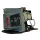 BL-FU185A / SP.8EH01GC01 Projector Lamp for OPTOMA TX536