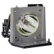 EC.J1001.001 Projector Lamp for ACER PD523D