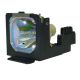 small_image_label-100243-4