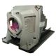 NP13LP Projector Lamp for NEC projectors