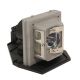 BL-FP280B / SP.88E01GC01 Projector Lamp for OPTOMA TX776