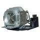 LMP-E190 Projector Lamp for SONY projectors
