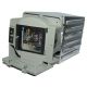 ACER FNX1102 Original Inside Projector Lamp - Replaces EC.JD700.001
