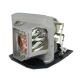 BL-FU190E / SP.8VC01GC01 Projector Lamp for OPTOMA VDHDNUE