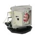 BL-FU190D / SP.8TM01GC01 Projector Lamp for OPTOMA DAWSZUST