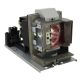 VIVITEK D867 Original Inside Projector Lamp - Replaces 5811118924-SVV