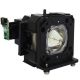 PANASONIC PT-DZ870 Projector Lamp