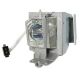 ACER D7P1602 Original Inside Projector Lamp - Replaces MC.JMV11.001