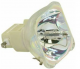 SAHARA PROTECTOR 1 (S3601) Projector Lamp