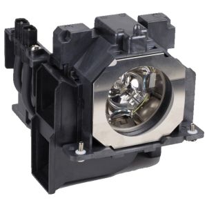 base_image_label-100449-65700