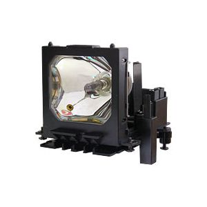 small_image_label-102113-67502