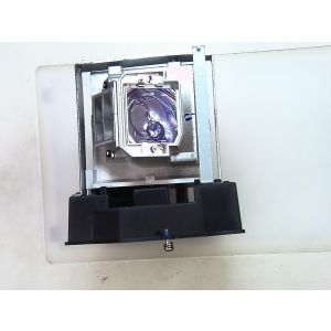 base_image_label-302409-OI64948