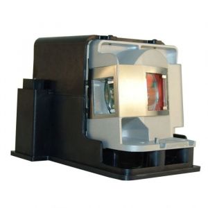 INFOCUS DEPTHQ HDs3D-1 Projector Lamp