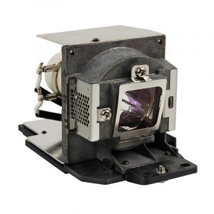 PROXIMA DP2900 Projector Lamp